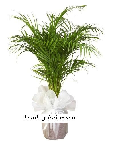 Cnr Fuar Alanı çiçekçi