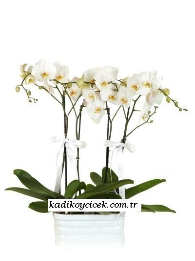 Galip paşa Camii çiçekçi