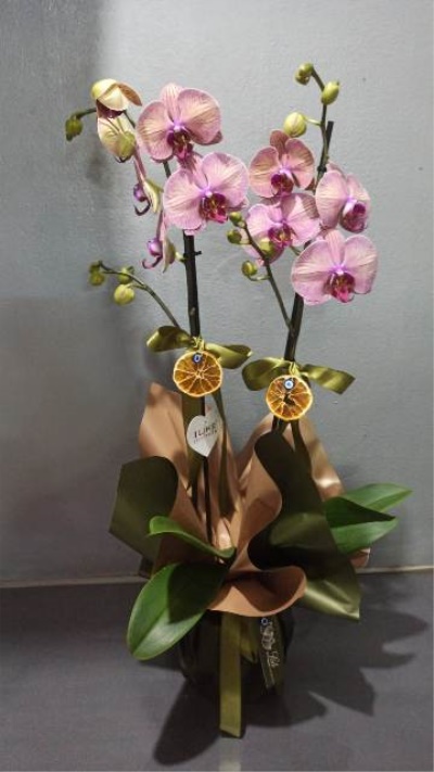 Galip paşa Camii çiçekçi