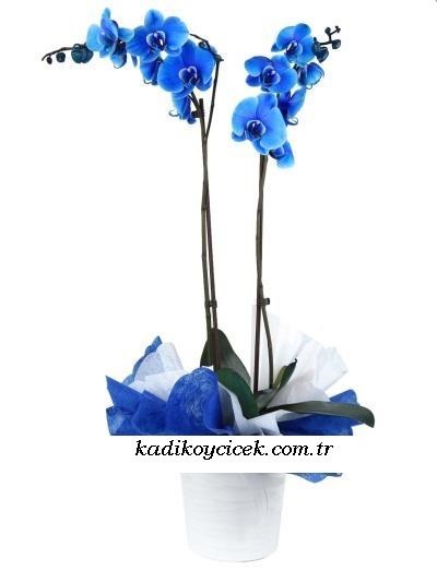 Galip paşa Camii çiçekçi