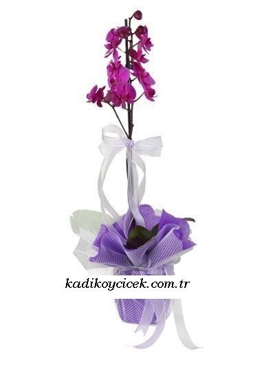 Küçükköy çiçekçi