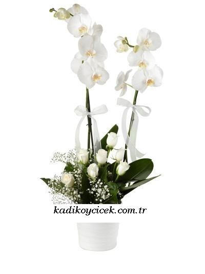 Galip paşa Camii çiçekçi