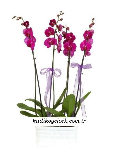 Küçükköy çiçekçi