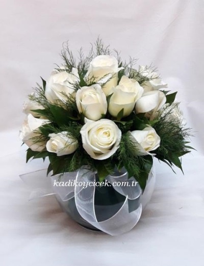 17 Adet Kar Beyaz Güzellik 