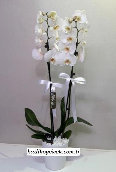 Galip paşa Camii çiçekçi