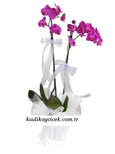 Küçükköy çiçekçi