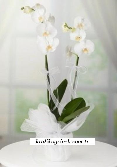 Galip paşa Camii çiçekçi