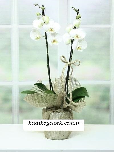 Galip paşa Camii çiçekçi