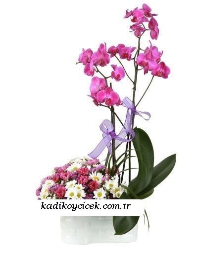 Galip paşa Camii çiçekçi