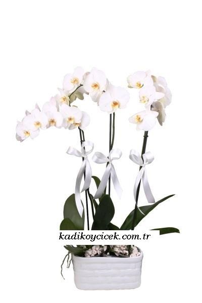 Galip paşa Camii çiçekçi