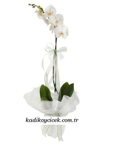 Galip paşa Camii çiçekçi